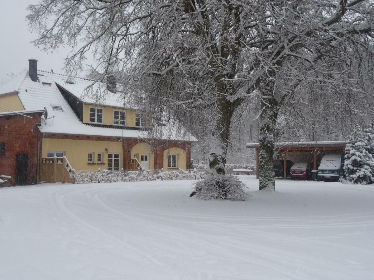 Ostseewald * Rostock