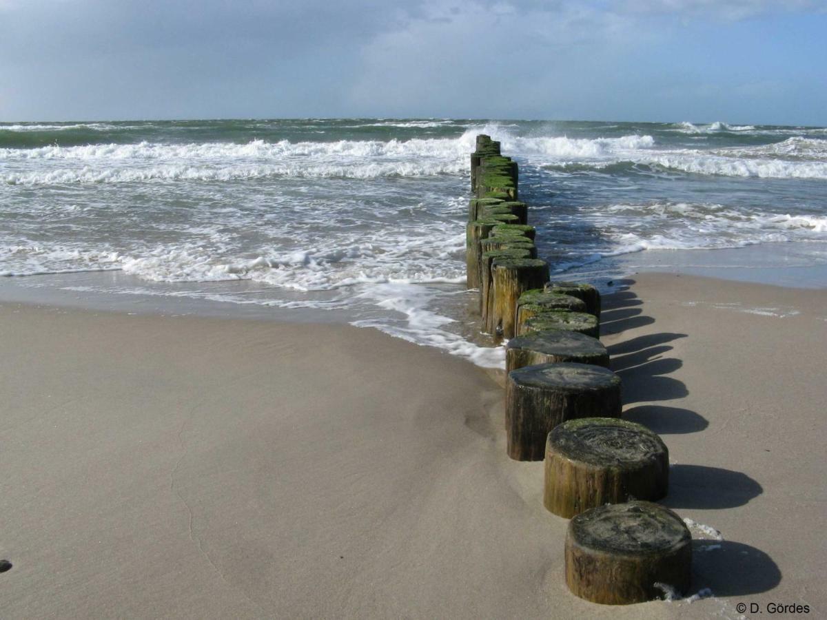 Ostseewald *