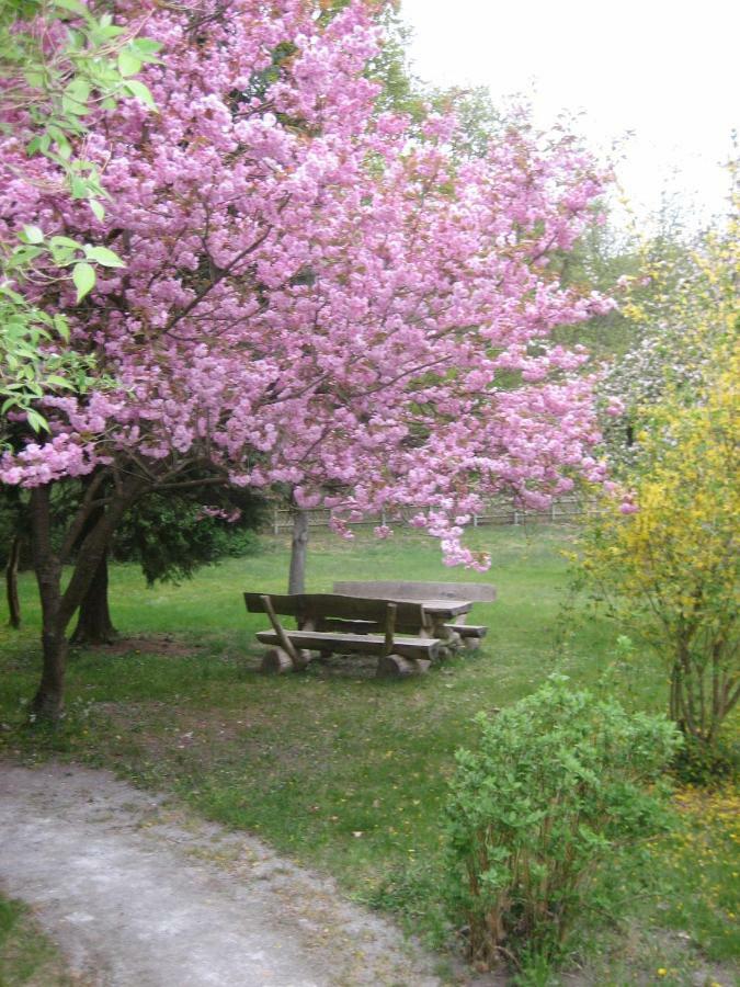 Apartment Ostseewald
