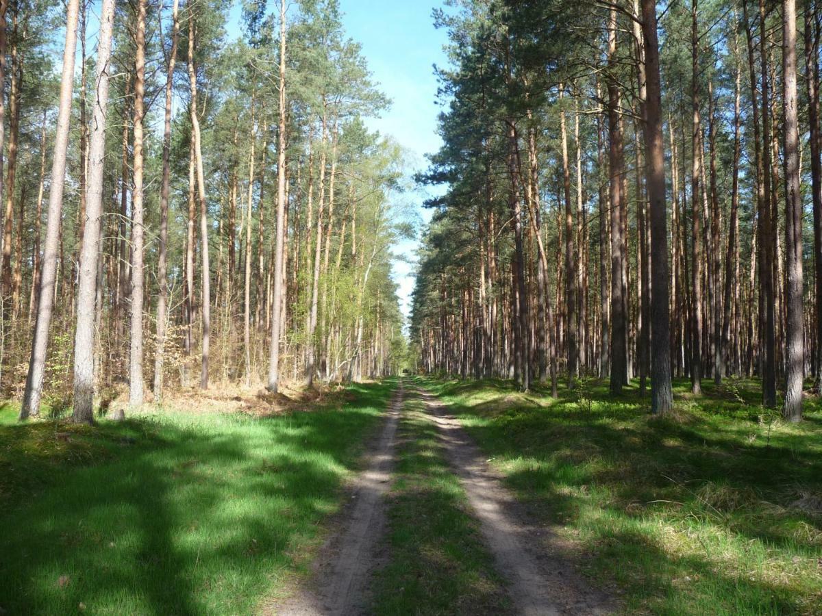 Ostseewald Apartment *